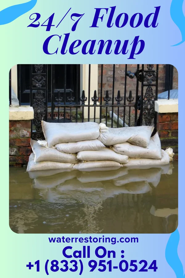 24/7 Flood Cleanup in Holy Cross, IA