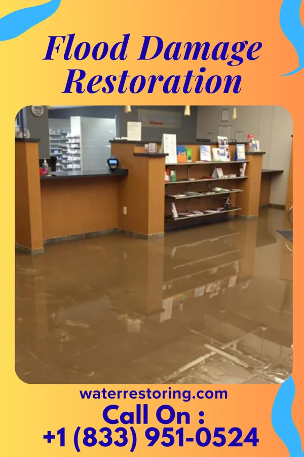 Flood Damage Restoration in Holy Cross, IA