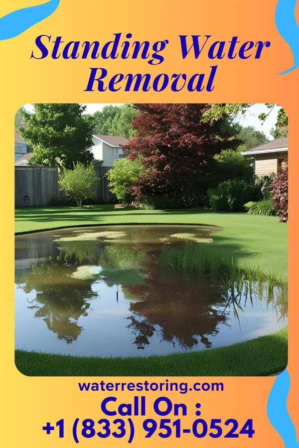 Standing Water Removal in Holy Cross, IA